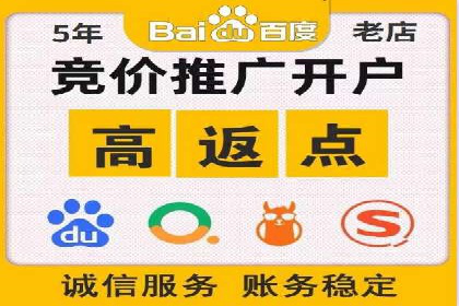 SEM运营公司成功案例解析